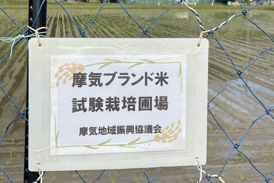 摩氣米